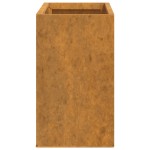 vidaXL Jardiniere de perete, 2 buc., ruginiu, 53x10x17 cm, oțel corten