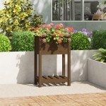 vidaXL Jardinieră cu raft, maro miere, 54x34,5x81 cm, lemn masiv pin
