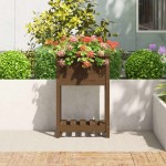 vidaXL Jardinieră cu raft, maro miere, 54x34,5x81 cm, lemn masiv pin