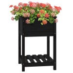 vidaXL Jardinieră cu raft, negru, 54x54x81 cm, lemn masiv de pin
