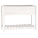 vidaXL Jardinieră cu raft, alb, 111,5x54x81 cm, lemn masiv de pin