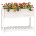 vidaXL Jardinieră cu raft, alb, 111,5x54x81 cm, lemn masiv de pin