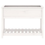vidaXL Jardinieră cu raft, alb, 111,5x54x81 cm, lemn masiv de pin