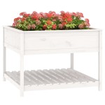 vidaXL Jardinieră cu raft, alb, 111,5x111,5x81 cm, lemn masiv de pin
