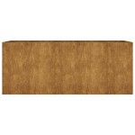 vidaXL Strat înălțat de grădină, 200x80x80 cm, oțel corten