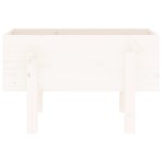 vidaXL Jardinieră de grădină, alb, 62x30x38 cm, lemn masiv de pin vidaXL Jardinieră de grădină, alb, 62x30x38 cm, lemn masiv de pin