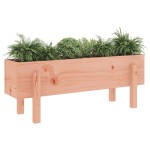 vidaXL Strat înălțat de grădină, 101x30x38 cm, lemn masiv Douglas