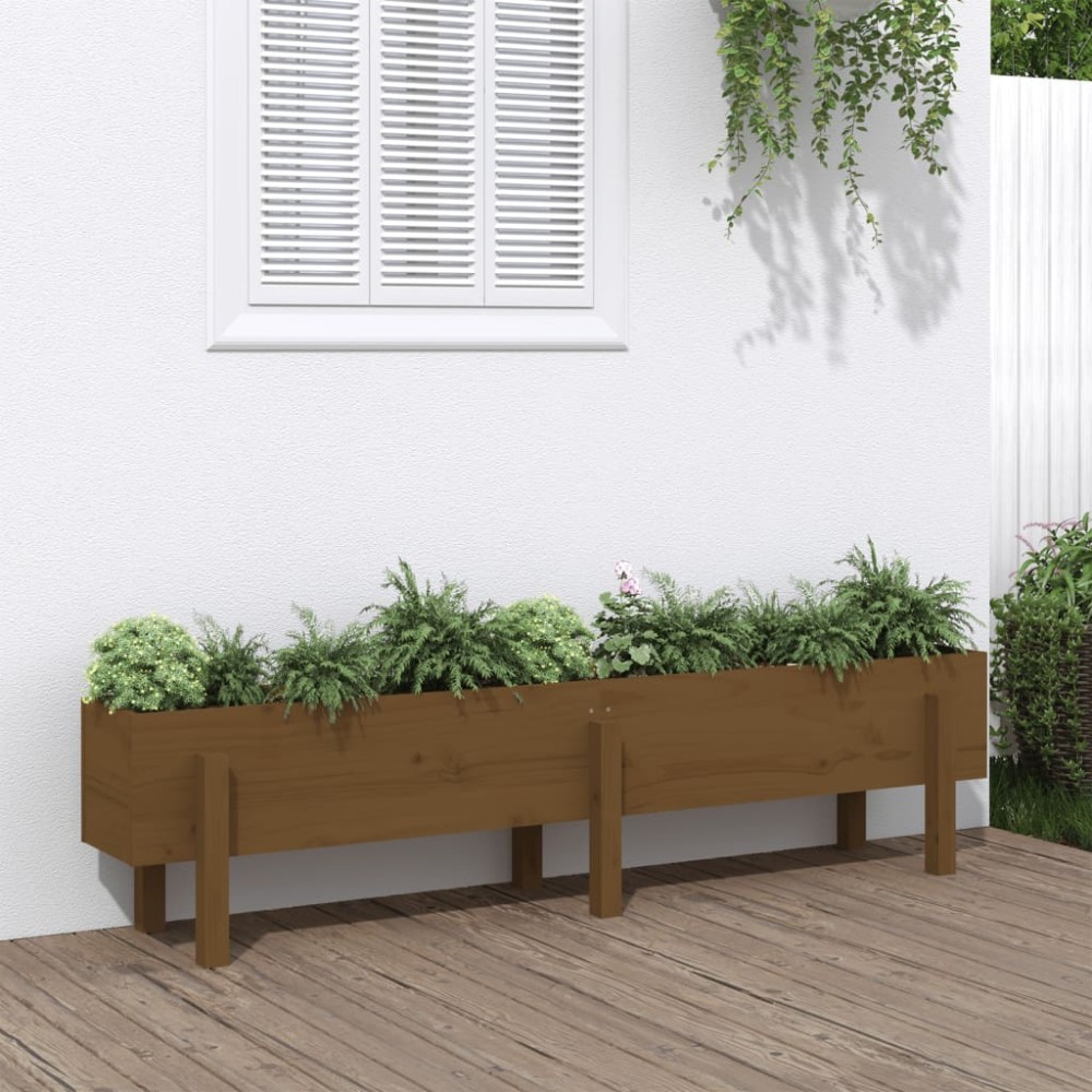 vidaXL Strat înălțat de grădină maro miere 160x30x38 cm lemn masiv pin