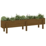 vidaXL Strat înălțat de grădină maro miere 160x30x38 cm lemn masiv pin