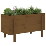 vidaXL Strat înălțat de grădină maro miere 101x50x57 cm lemn masiv pin