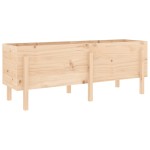 vidaXL Strat înălțat de grădină, 160x50x57 cm, lemn masiv de pin