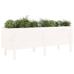 vidaXL Strat înălțat de grădină, alb, 160x50x57 cm, lemn masiv de pin vidaXL Strat înălțat de grădină, alb, 160x50x57 cm, lemn masiv de pin