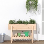 vidaXL Strat înălțat de grădină, 101x30x69 cm, lemn masiv de pin