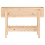 vidaXL Strat înălțat de grădină, 101x30x69 cm, lemn masiv de pin