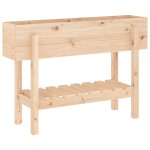 vidaXL Strat înălțat de grădină, 101x30x69 cm, lemn masiv de pin