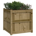 vidaXL Jardiniere de gradina , 2 buc., lemn de pin impregnat vidaXL Jardiniere de gradina , 2 buc., lemn de pin impregnat