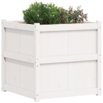 vidaXL Jardinieră de grădină, alb, 70x70x70 cm, lemn masiv de pin vidaXL Jardinieră de grădină, alb, 70x70x70 cm, lemn masiv de pin