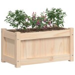 vidaXL Jardiniere de grădină, 2 buc., lemn masiv de pin vidaXL Jardiniere de grădină, 2 buc., lemn masiv de pin