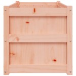 vidaXL Jardiniere de grădină, 2 buc., lemn masiv douglas vidaXL Jardiniere de grădină, 2 buc., lemn masiv douglas