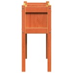 vidaXL Jardiniere grădină cu picioare, 2 buc., maro ceruit, lemn pin vidaXL Jardiniere grădină cu picioare, 2 buc., maro ceruit, lemn pin