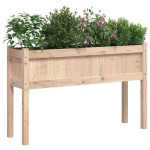 vidaXL Jardiniere de grădină cu picioare, 2 buc., lemn masiv de pin vidaXL Jardiniere de grădină cu picioare, 2 buc., lemn masiv de pin