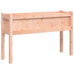 vidaXL Jardiniere de grădină cu picioare, 2 buc., lemn masiv Douglas vidaXL Jardiniere de grădină cu picioare, 2 buc., lemn masiv Douglas