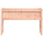 vidaXL Jardiniere de grădină cu picioare, 2 buc., lemn masiv Douglas vidaXL Jardiniere de grădină cu picioare, 2 buc., lemn masiv Douglas