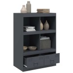 vidaXL Dulap înalt, antracit, 67x39x95 cm, oțel vidaXL Dulap înalt, antracit, 67x39x95 cm, oțel