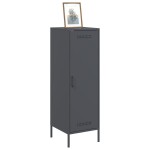 vidaXL Dulap înalt, antracit, 36x39x123 cm, oțel vidaXL Dulap înalt, antracit, 36x39x123 cm, oțel