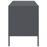 vidaXL Dulapuri TV, 2 buc., antracit, 68x39x50,5 cm, oțel