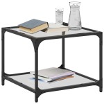 vidaXL Măsuță de cafea, blat din sticlă transparentă, 50x50x40 cm oțel vidaXL Măsuță de cafea, blat din sticlă transparentă, 50x50x40 cm oțel