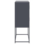 vidaXL Dulap, antracit, 68,5x38,5x107 cm, oțel