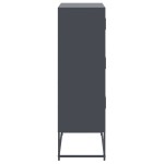 vidaXL Dulap, antracit, 68,5x38,5x123,5 cm, oțel
