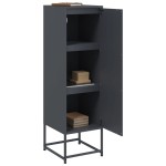vidaXL Dulap înalt, antracit, 36x39x123 cm, oțel vidaXL Dulap înalt, antracit, 36x39x123 cm, oțel