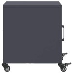 vidaXL Noptiere, 2 buc., antracit, 36x39x43,5 cm, oțel vidaXL Noptiere, 2 buc., antracit, 36x39x43,5 cm, oțel