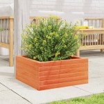vidaXL Jardinieră de grădină, maro ceruit, 50x50x23 cm, lemn masiv pin
