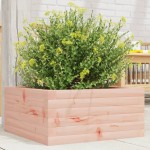 vidaXL Jardinieră de grădină, 50x50x23 cm, lemn masiv Douglas vidaXL Jardinieră de grădină, 50x50x23 cm, lemn masiv Douglas