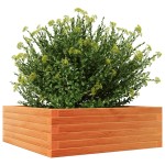 vidaXL Jardinieră de grădină, maro ceruit, 70x70x23 cm, lemn masiv pin vidaXL Jardinieră de grădină, maro ceruit, 70x70x23 cm, lemn masiv pin