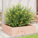 vidaXL Jardinieră de grădină, 80x80x23 cm, lemn masiv Douglas vidaXL Jardinieră de grădină, 80x80x23 cm, lemn masiv Douglas