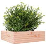 vidaXL Jardinieră de grădină, 80x80x23 cm, lemn masiv Douglas vidaXL Jardinieră de grădină, 80x80x23 cm, lemn masiv Douglas