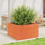 vidaXL Jardinieră grădină, maro ceruit, 80x80x45,5 cm, lemn masiv pin vidaXL Jardinieră grădină, maro ceruit, 80x80x45,5 cm, lemn masiv pin