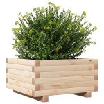 vidaXL Jardinieră de grădină, 50x50x26,5 cm, lemn masiv de pin