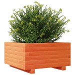 vidaXL Jardinieră grădină, maro ceruit, 50x50x26,5 cm, lemn masiv pin vidaXL Jardinieră grădină, maro ceruit, 50x50x26,5 cm, lemn masiv pin