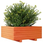 vidaXL Jardinieră grădină, maro ceruit, 60x60x26,5 cm, lemn masiv pin vidaXL Jardinieră grădină, maro ceruit, 60x60x26,5 cm, lemn masiv pin