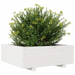 vidaXL Jardinieră de grădină, alb, 70x70x26,5 cm, lemn masiv de pin vidaXL Jardinieră de grădină, alb, 70x70x26,5 cm, lemn masiv de pin