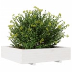 vidaXL Jardinieră de grădină, alb, 100x100x26,5 cm, lemn masiv de pin vidaXL Jardinieră de grădină, alb, 100x100x26,5 cm, lemn masiv de pin