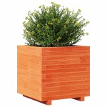 vidaXL Jardinieră grădină, maro ceruit, 50x50x49,5 cm, lemn masiv pin vidaXL Jardinieră grădină, maro ceruit, 50x50x49,5 cm, lemn masiv pin