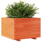 vidaXL Jardinieră grădină, maro ceruit, 70x70x49,5 cm, lemn masiv pin vidaXL Jardinieră grădină, maro ceruit, 70x70x49,5 cm, lemn masiv pin