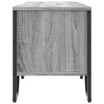 vidaXL Dulap TV, gri sonoma, 180x34x41 cm, lemn prelucrat