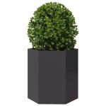 vidaXL Jardiniere de grădină, 2 buc. negru 46x40x45 cm oțel hexagonală vidaXL Jardiniere de grădină, 2 buc. negru 46x40x45 cm oțel hexagonală